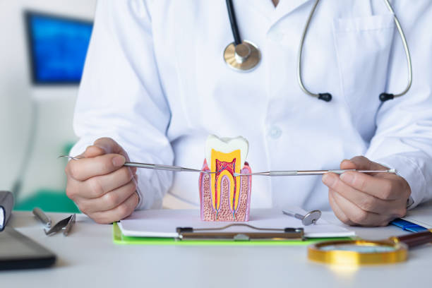 Best Emergency Broken Tooth Repair in Warren Af, WY